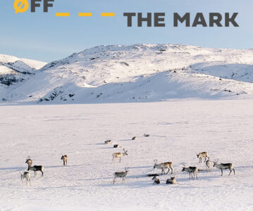 Una mirada certera al cine social: Off the Mark en MUSOC