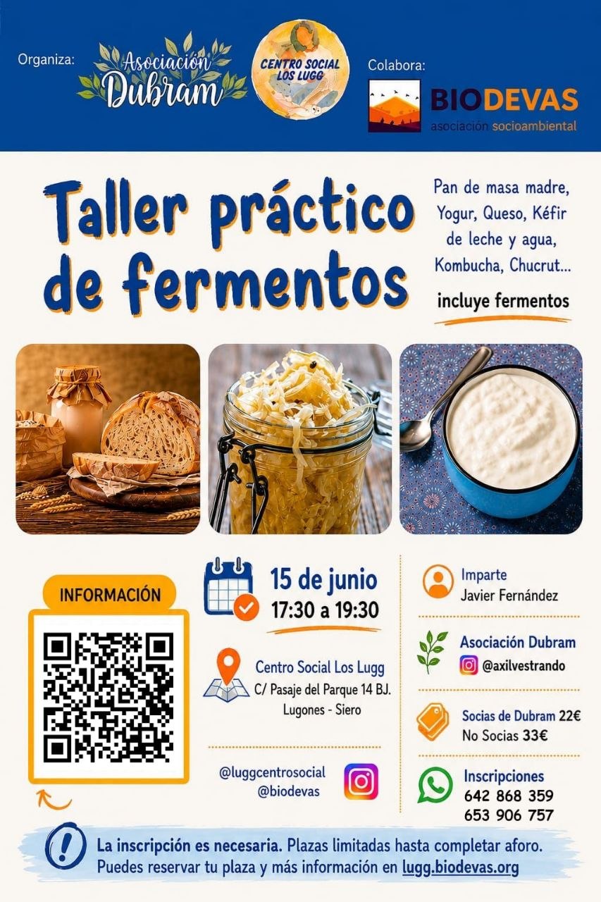 Cartel promocional Taller práctico de fermentos - Centro Social Los Lugg