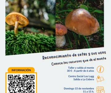 Reconocimiento de setas y sus usos: taller y salida al monte a La Cebera (15 de noviembre de 2026)