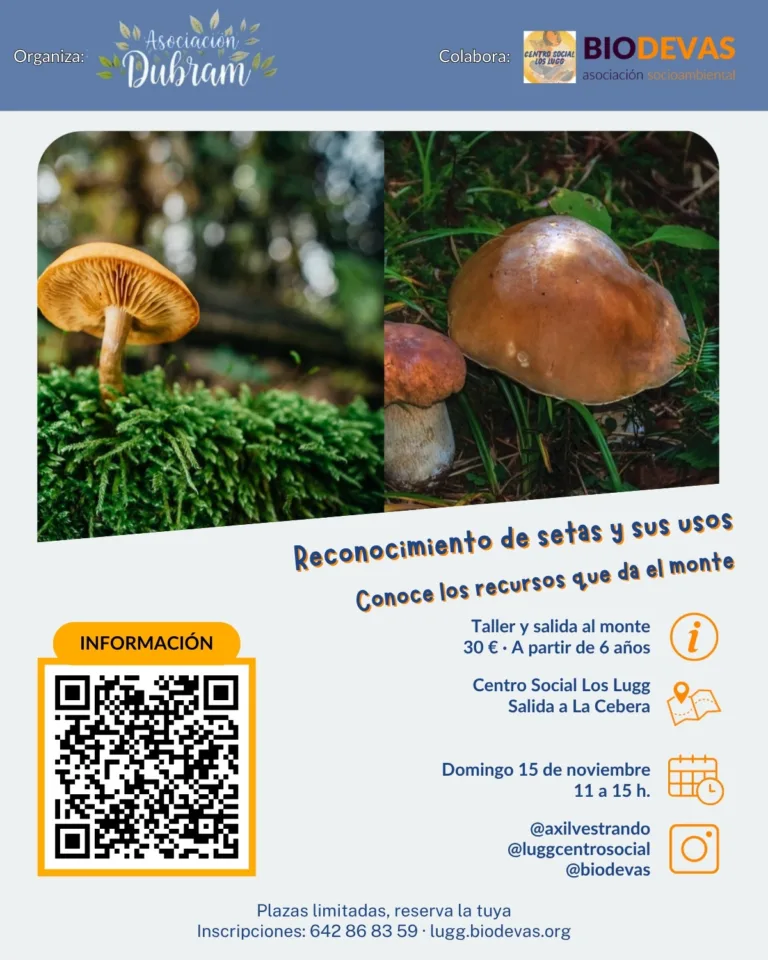 Reconocimiento de setas y sus usos: taller y salida al monte a La Cebera (15 de noviembre de 2026)